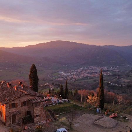Agriturismo Prato Barone Rufina Ngoại thất bức ảnh