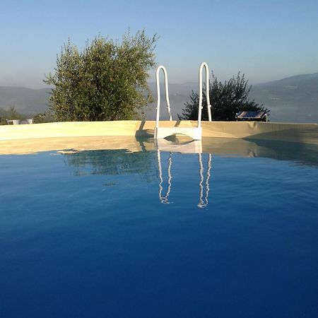 Agriturismo Prato Barone Rufina Ngoại thất bức ảnh