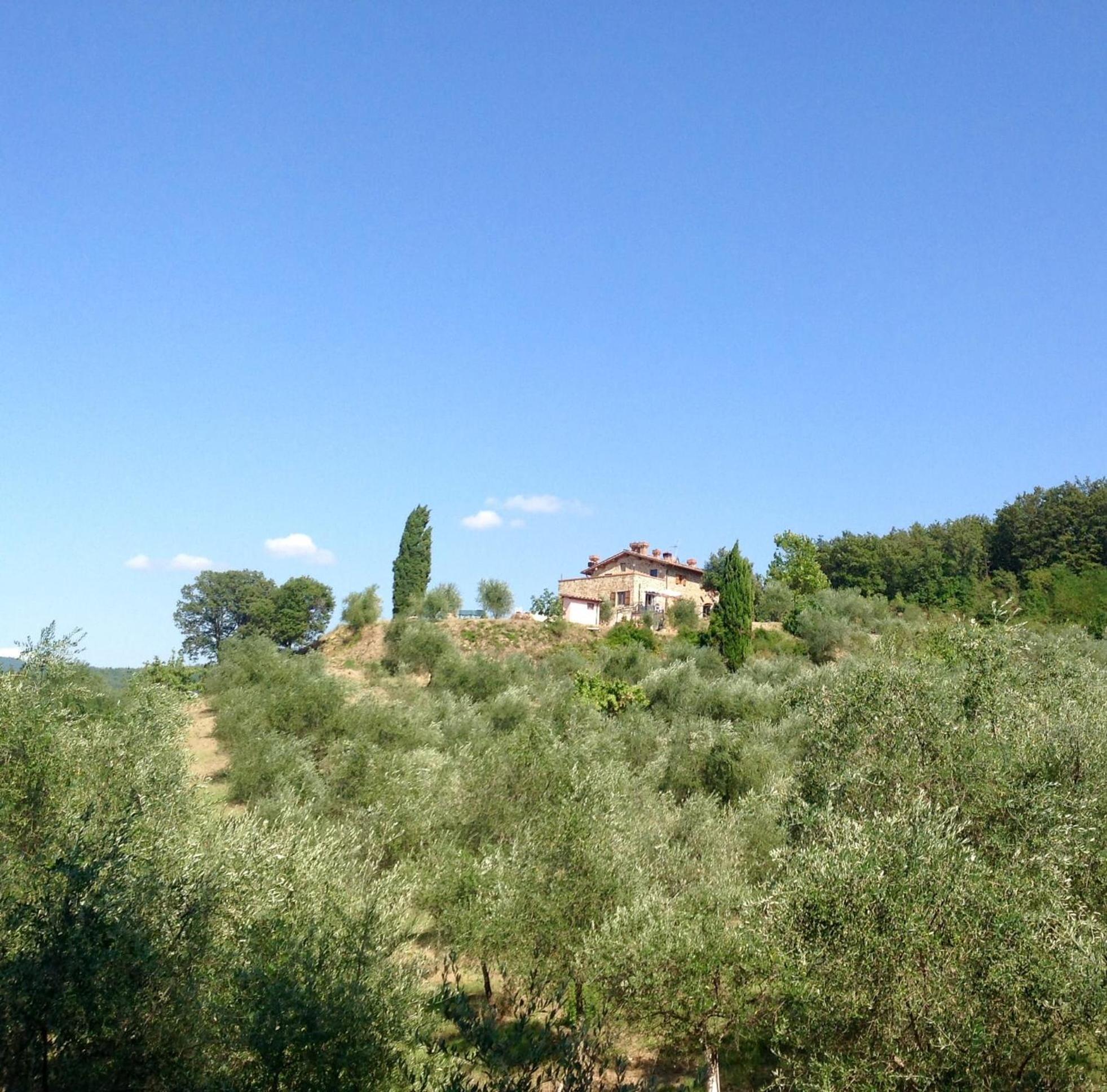 Agriturismo Prato Barone Rufina Ngoại thất bức ảnh