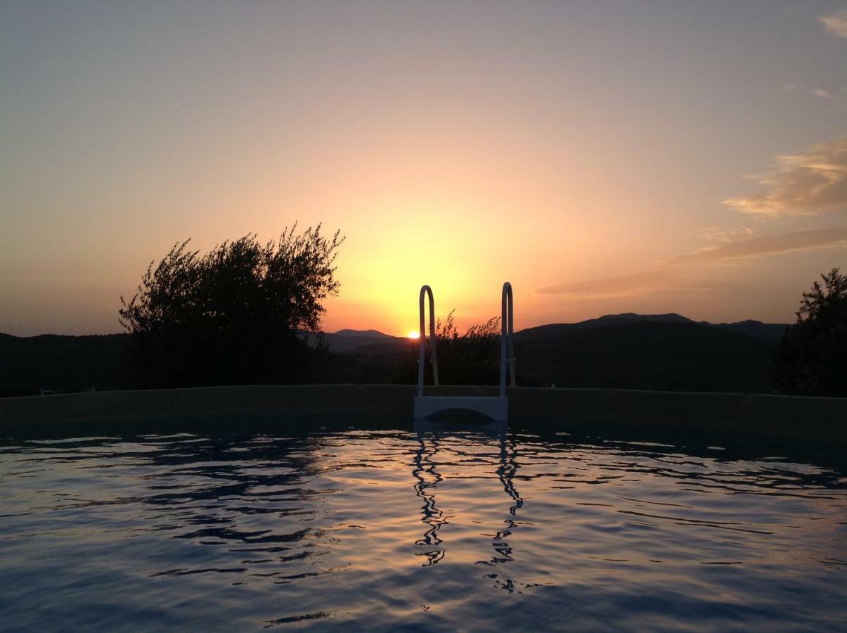 Agriturismo Prato Barone Rufina Ngoại thất bức ảnh